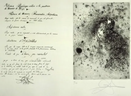 Stich Dali - Puntaire de Vermeer (La Dentellière)