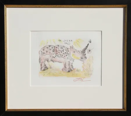 Stich Dali - Rhinoceros