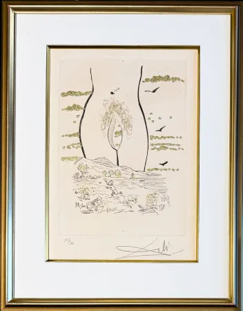 Stich Dali - Salvador Dalí (1904–1989)- A l'Éternelle madame (To the Eternal Madame) - Drypoint, etching hand coloured and gilded on Arches paper - 1974