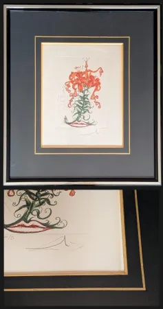 Stich Dali - Salvador DALI - Tiger Lilies / Lilium Aurancacium et labra barocantia, 1972 - Hand-signed by Dali lower right, 1972