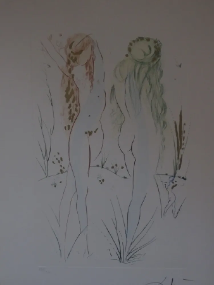 Radierung Und Aquatinta Dali - Sans titre