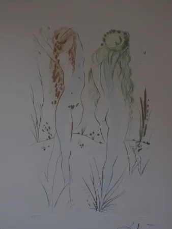 Radierung Und Aquatinta Dali - Sans titre