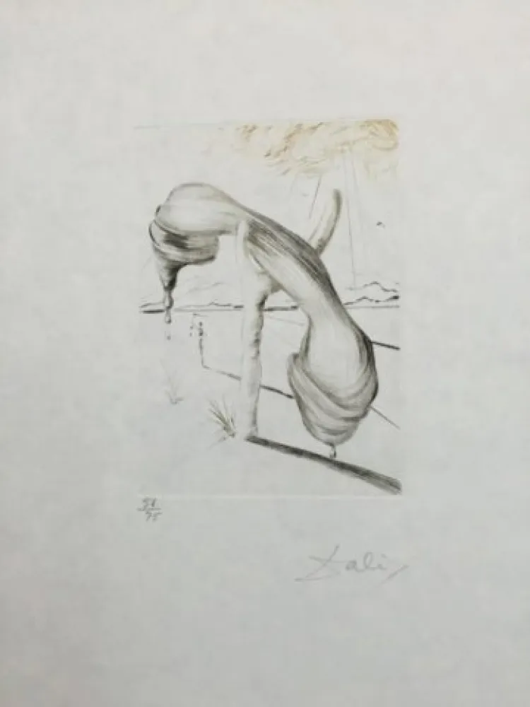 Kaltnadelradierung Dali - Teléphone Mou