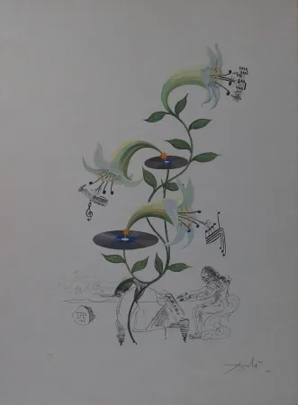 Stich Dali - The Lily - Lilium Musicum