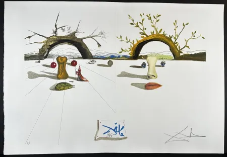 Stich Dali - Winter Summer