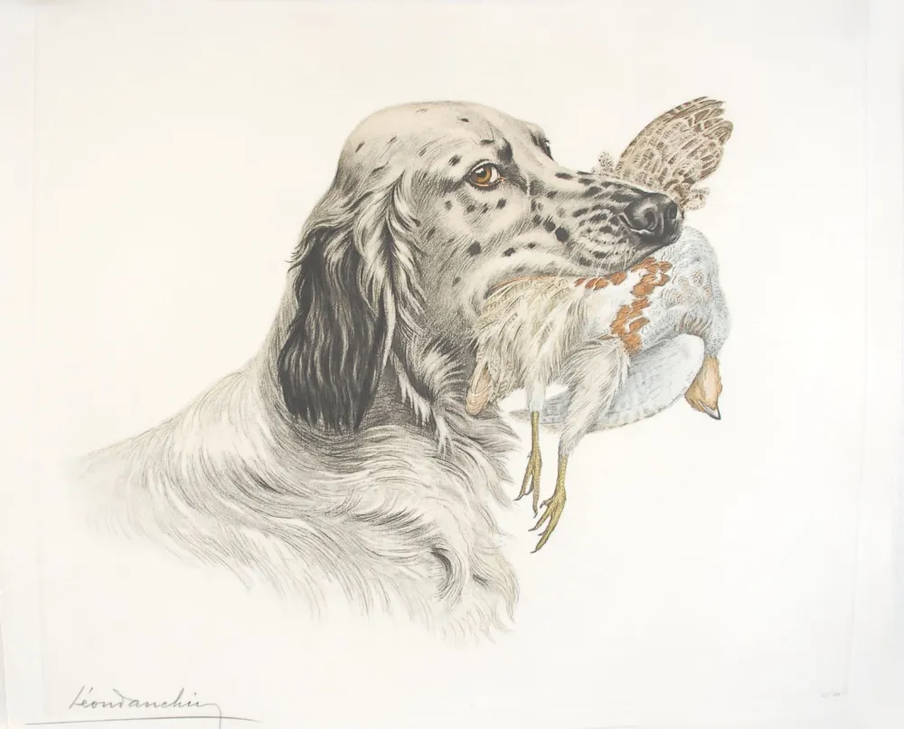 Radierung Danchin - 49 Setter et Perdrix - English Setter and Partridge (Original)