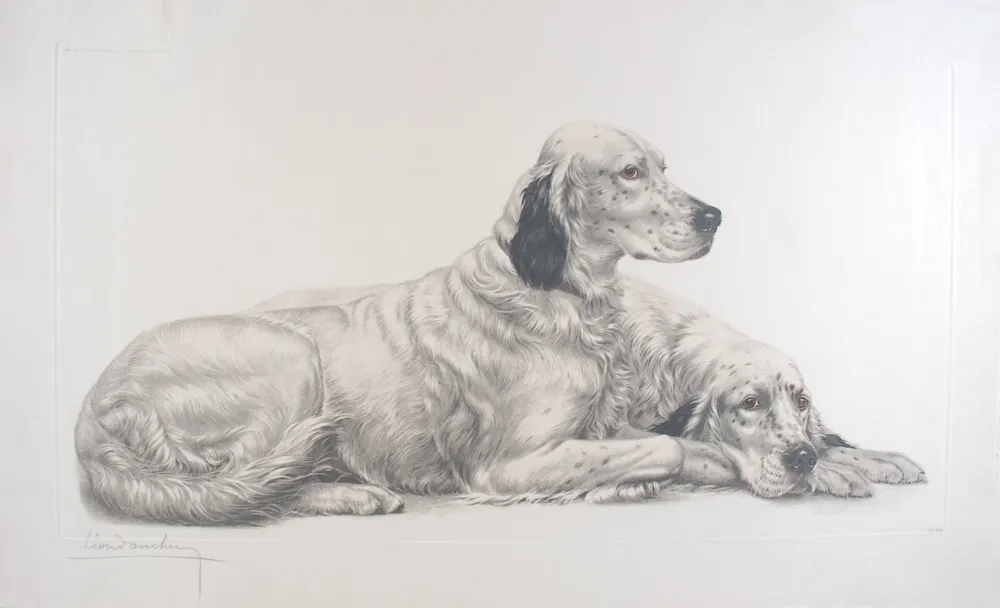 Stich Danchin - Deux Setters couchés (Setters au repos) - Two English Setters at rest