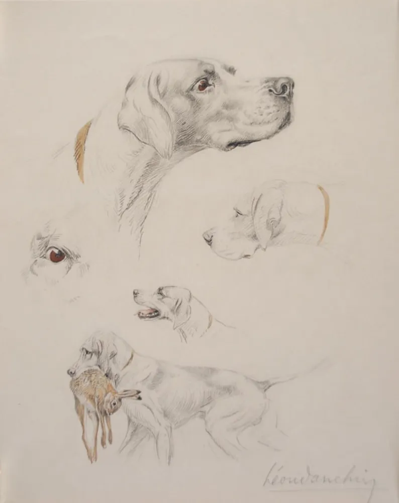 Keine Technische Danchin - Etude de pointer