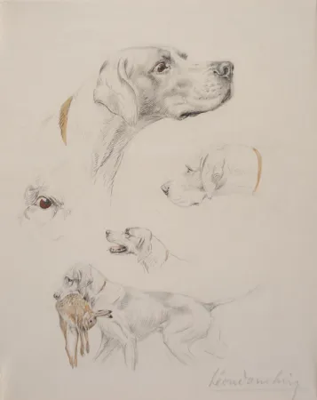 Keine Technische Danchin - Etude de pointer