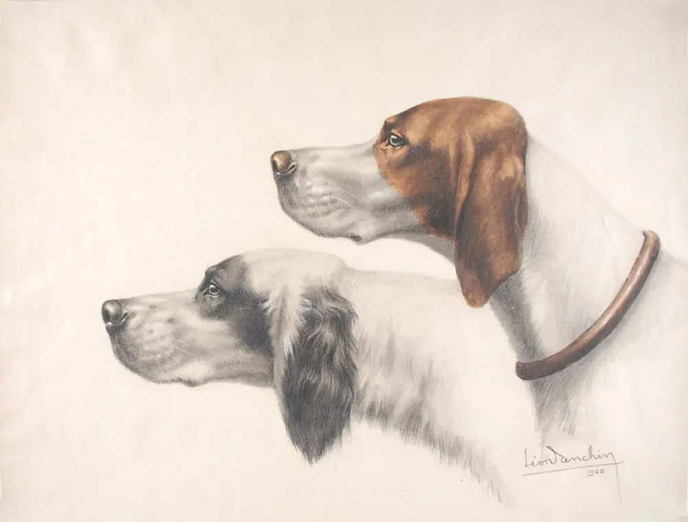 Keine Technische Danchin - Setter Anglais et Braque Français