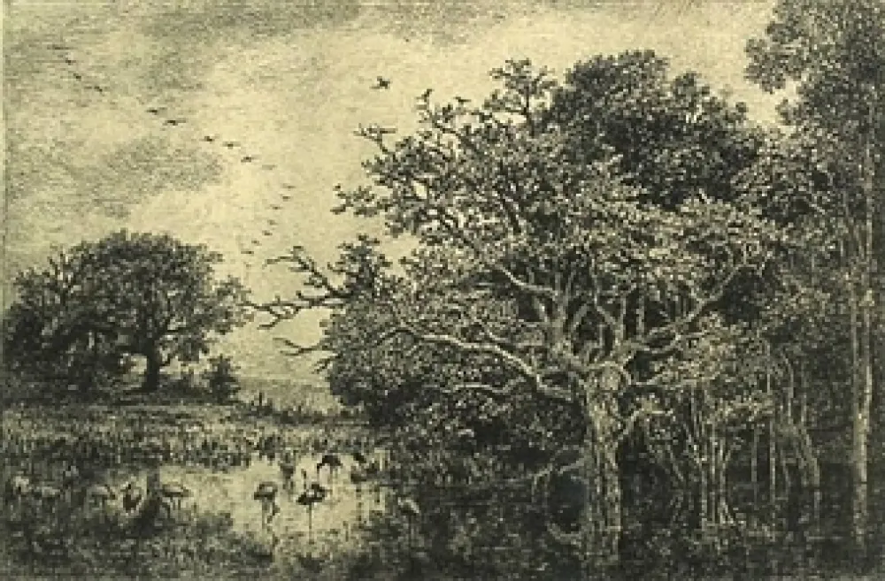 Stich Daubigny - Le marais aux cigognes