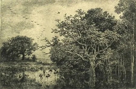 Stich Daubigny - Le marais aux cigognes
