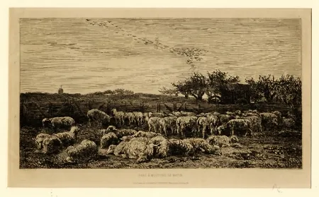 Stich Daubigny - Parc à moutons:  le matin, in 