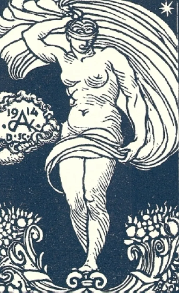 Illustriertes Buch De Carolis - Le carte da gioco