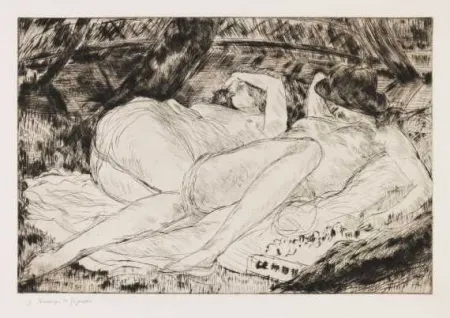 Illustriertes Buch De Segonzac - Catalogue de l'oeuvre gravé de Dunoyer de Segonzac (8-volume catalogue raisonné)