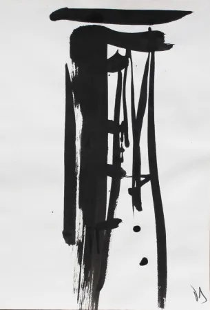 Keine Technische Debré - Signe 1