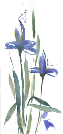 Keine Technische Decker-Kern - Iris