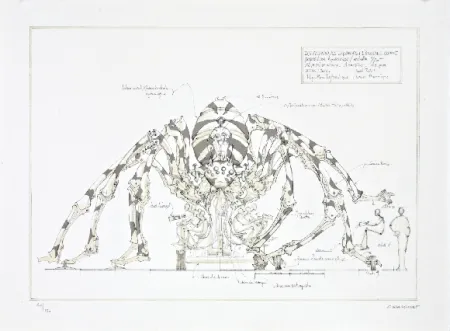 Lithographie Delarozière - L'araignée géante