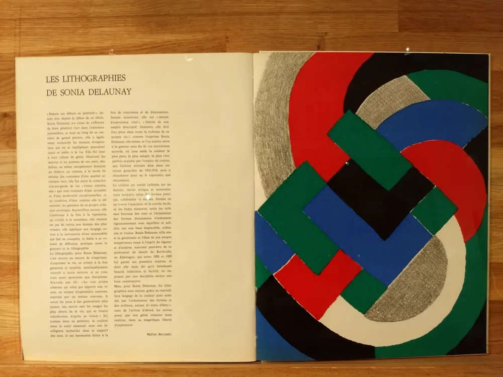 Illustriertes Buch Delaunay - Xxe No32