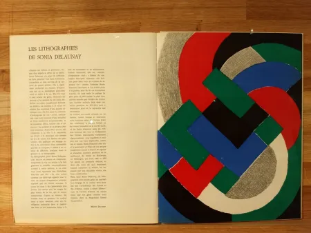 Illustriertes Buch Delaunay - Xxe No32