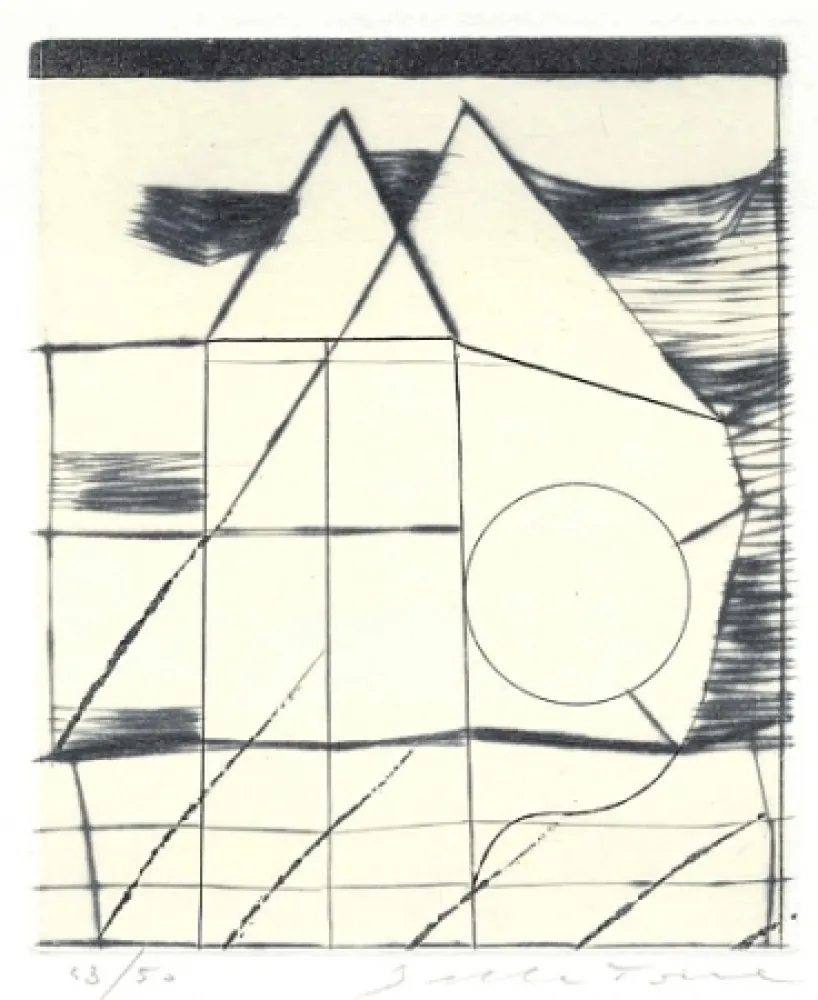 Illustriertes Buch Della Torre - Immagini riflesse