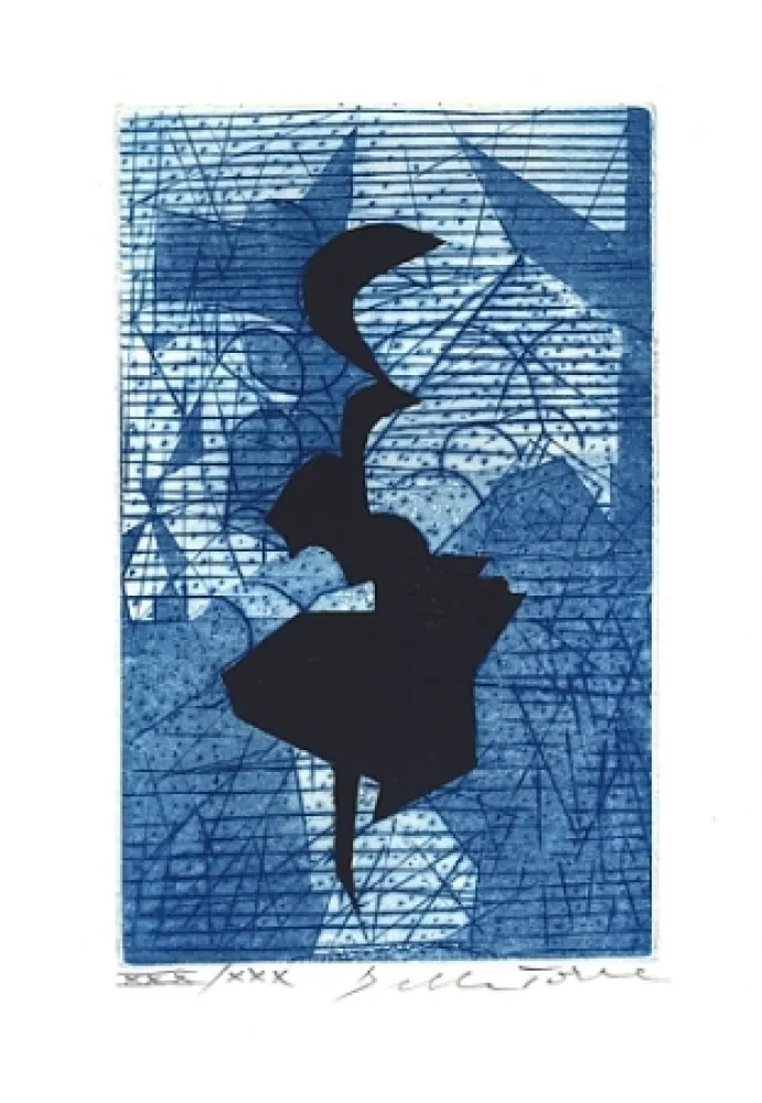 Illustriertes Buch Della Torre - Sui bordi dell'impossibile