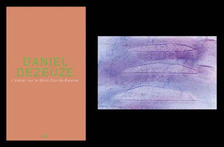 Illustriertes Buch Dezeuze - L'art en écrit 