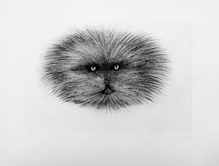 Kaltnadelradierung D'ho - Chat gris