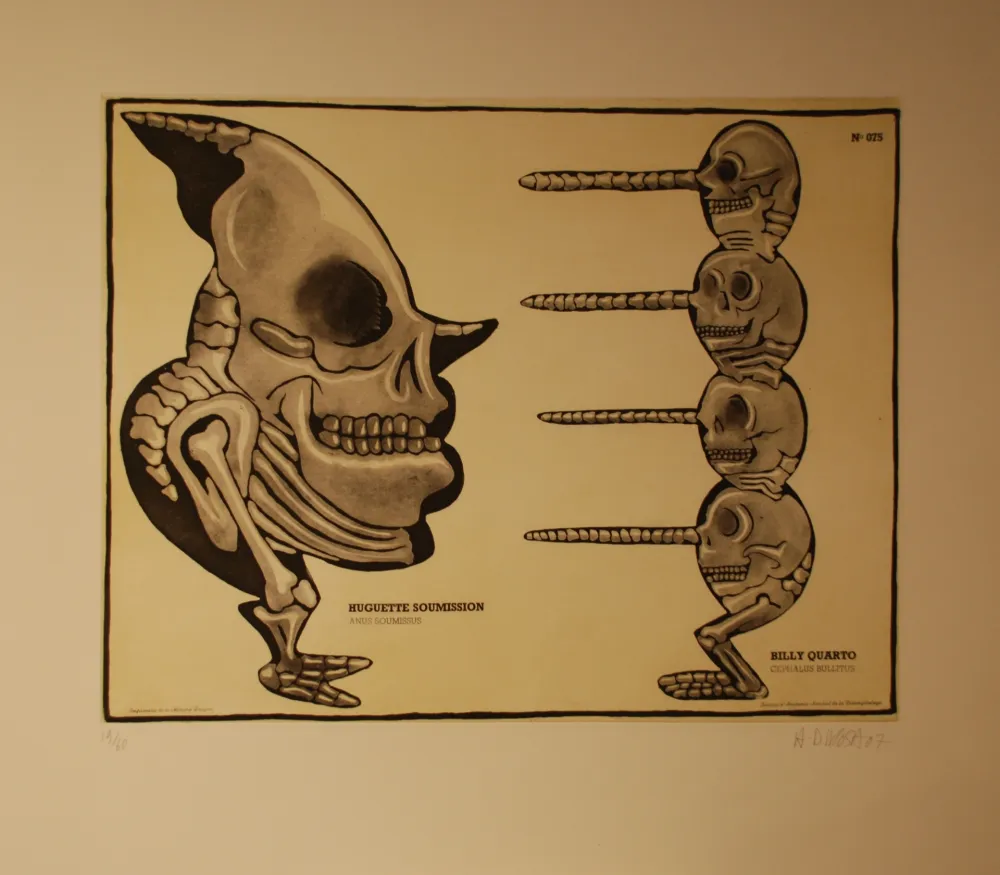 Stich Di Rosa - Huguette Soumission