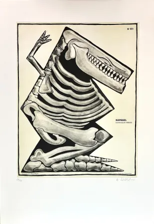 Stich Di Rosa - Raphaël