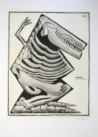 Radierung Und Aquatinta Di Rosa - Raphaël