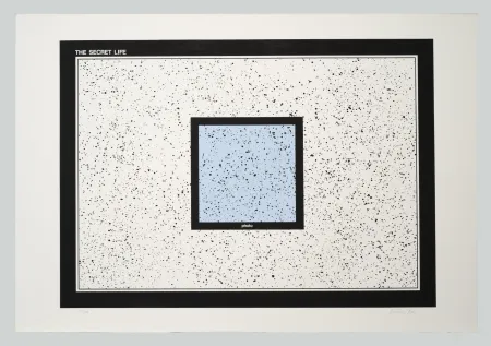 Siebdruck Dias - The secret life