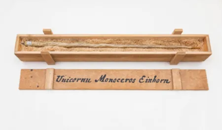 Multiple Dion - My Most Priceless Treasure (unicorn)