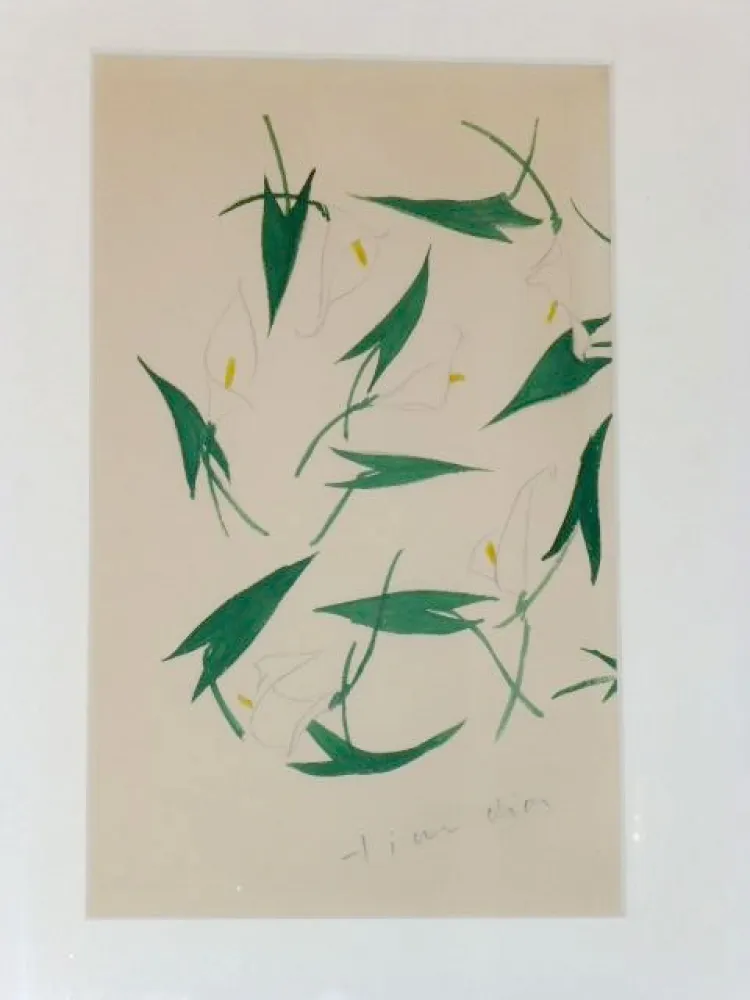 Keine Technische Dior - Les arums