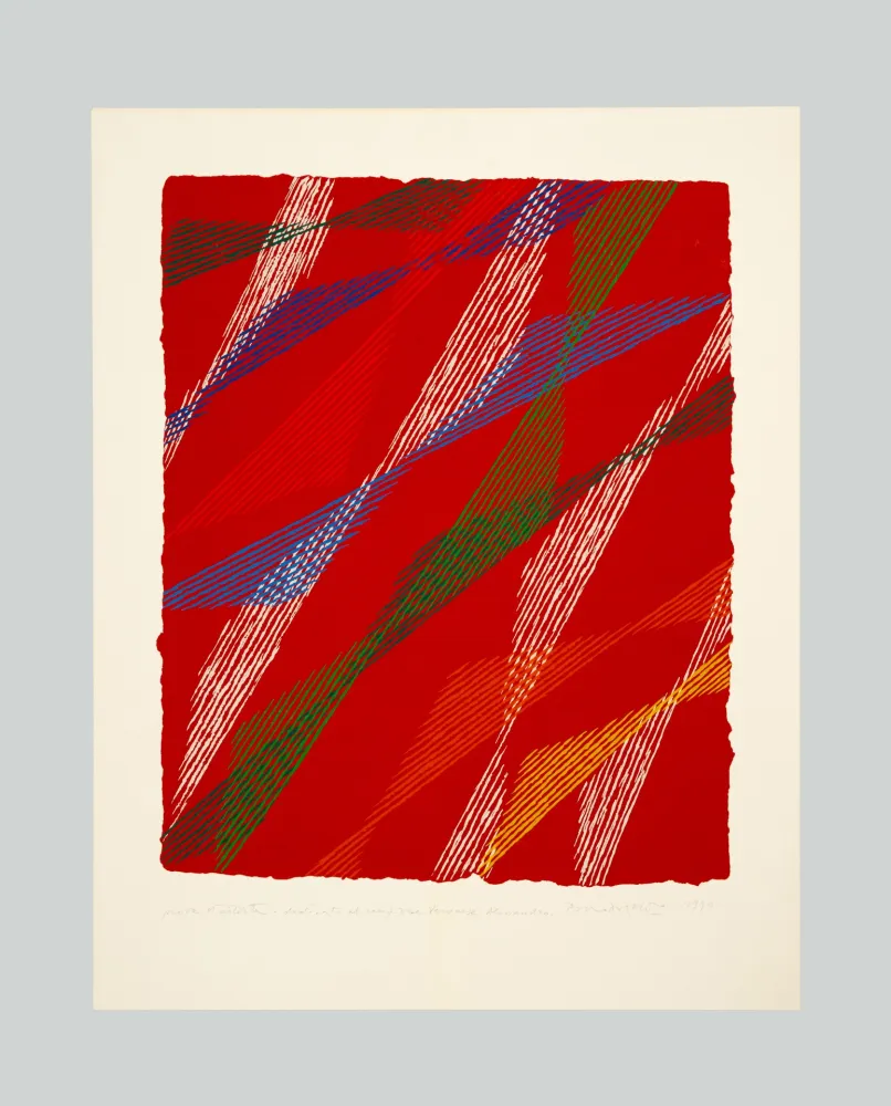 Siebdruck Dorazio - Composizione