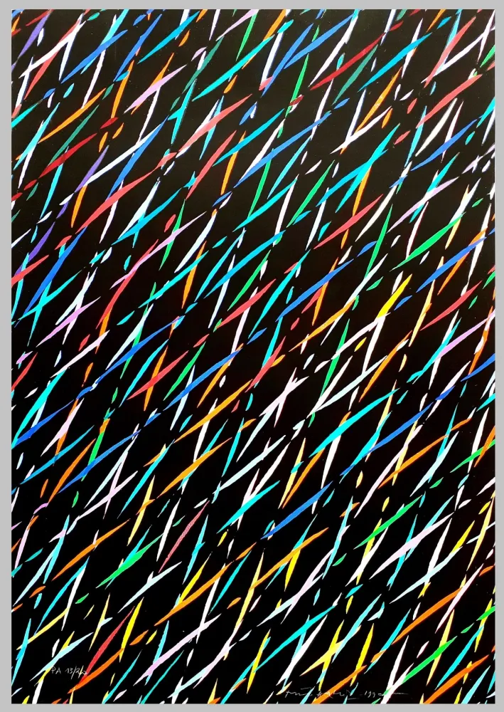 Siebdruck Dorazio - Composizione