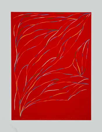 Siebdruck Dorazio - Composizione