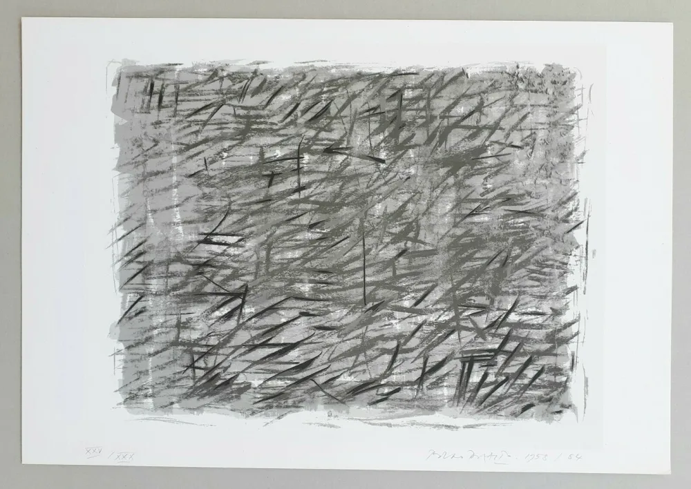 Siebdruck Dorazio - Disegno