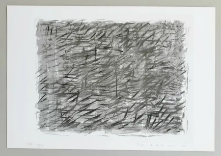 Siebdruck Dorazio - Disegno