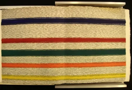 Illustriertes Buch Dorazio - New Jersey