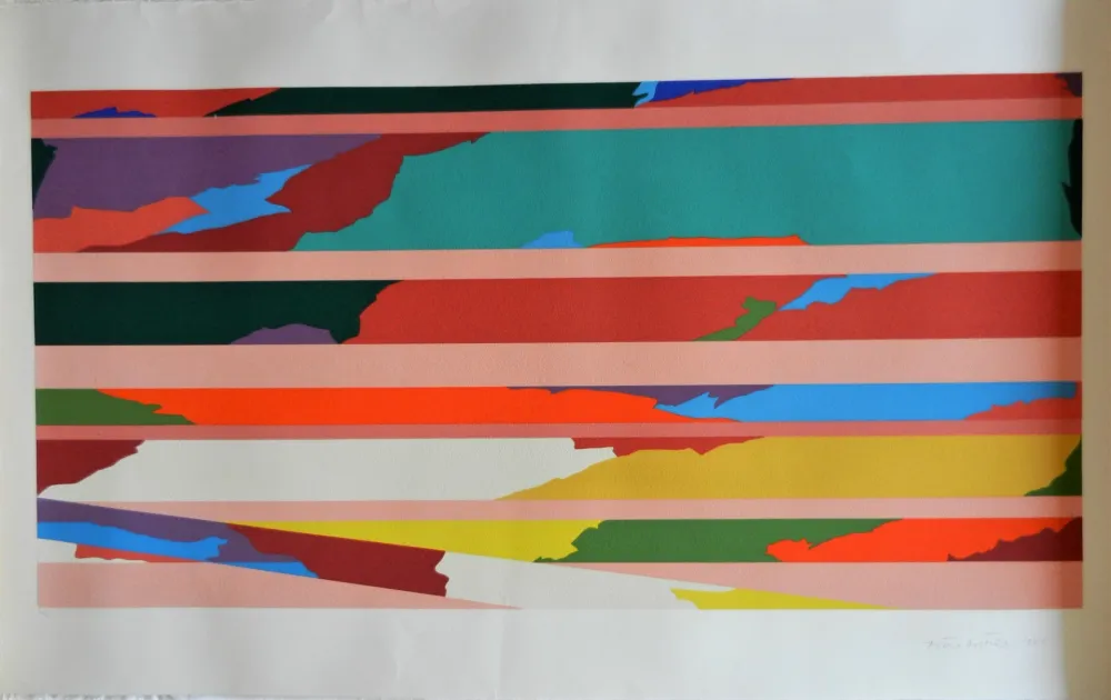 Siebdruck Dorazio - Senza titolo