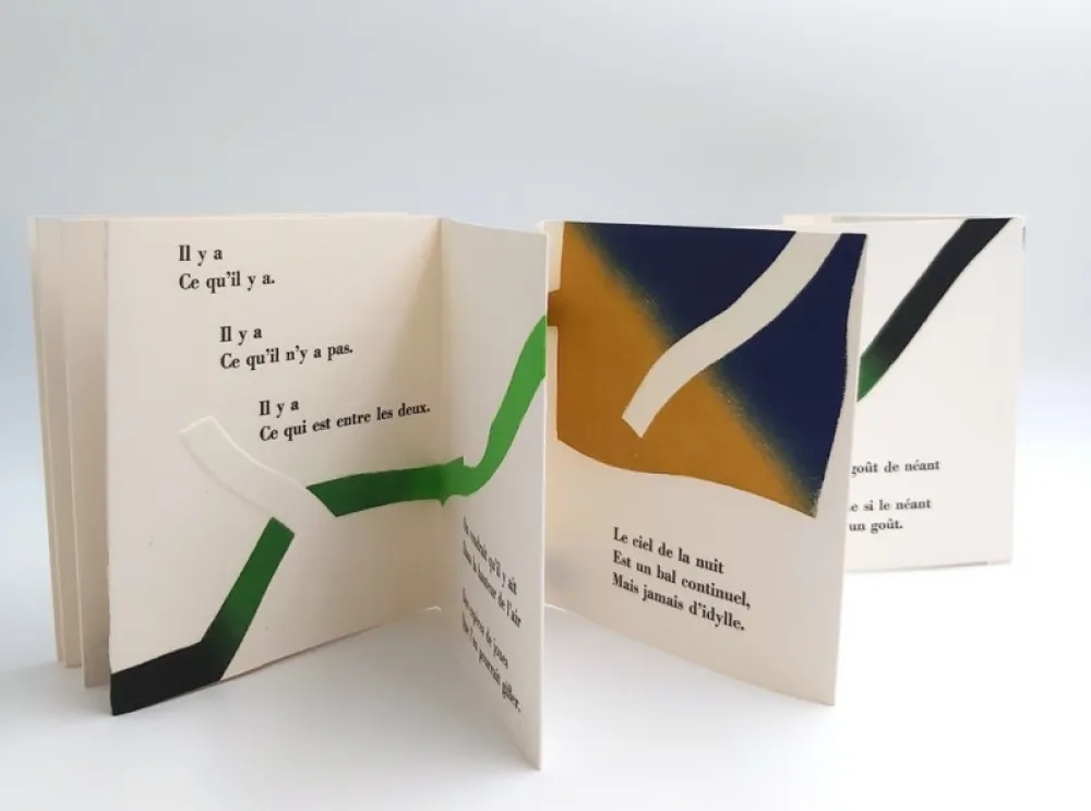 Illustriertes Buch Dorny - AGUETS