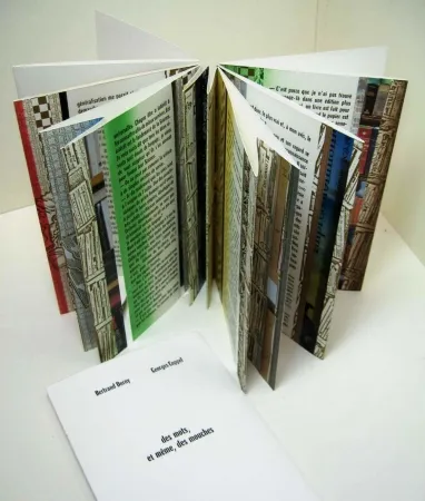 Illustriertes Buch Dorny - Des mots, et meme, des mouches 