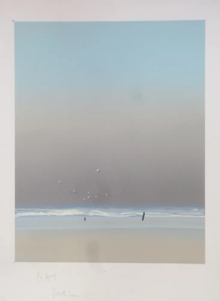 Lithographie Doutreleau - Les mouettes