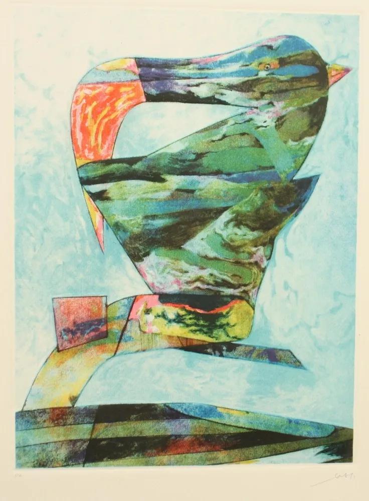 Radierung Und Aquatinta Dova  - UCCELLO DI BRETAGNA