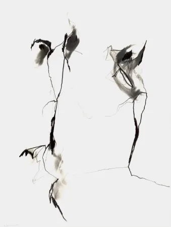 Keine Technische Drehbusch - Belangloskeiten / Irrelevancies