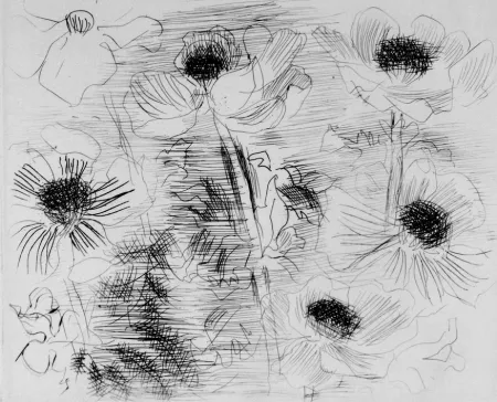 Radierung Dufy - Anemones