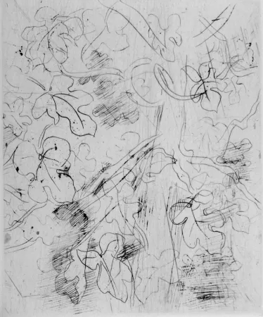 Radierung Dufy - Figuier