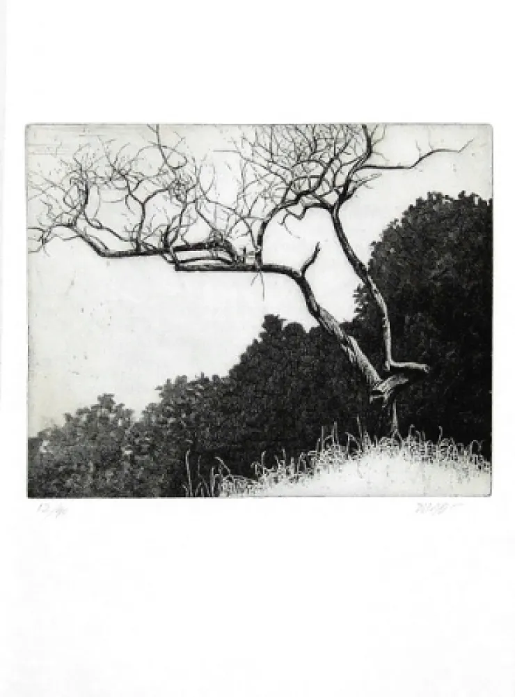 Illustriertes Buch Dugo - Poco prima del temporale