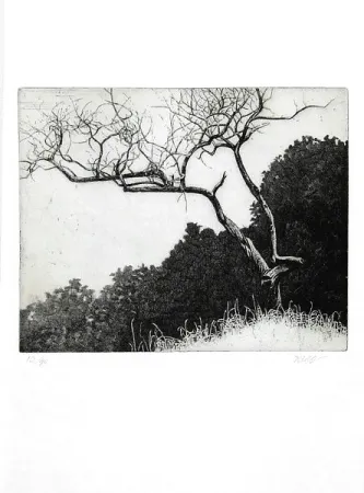 Illustriertes Buch Dugo - Poco prima del temporale